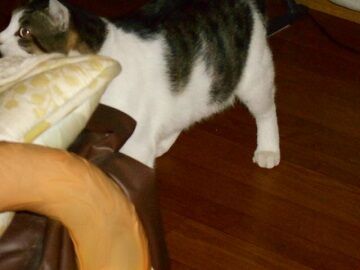 9月20日（69）仮