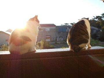 9月15日（24）仮