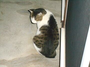 6月27日（35）仮