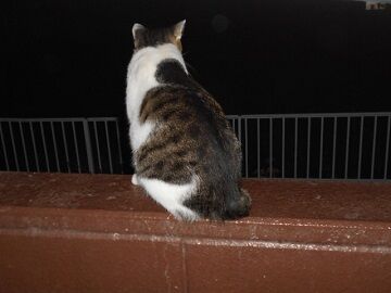 9月21日（20-10）仮