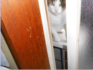 6月15日（25）仮