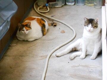 5月29日（24）仮