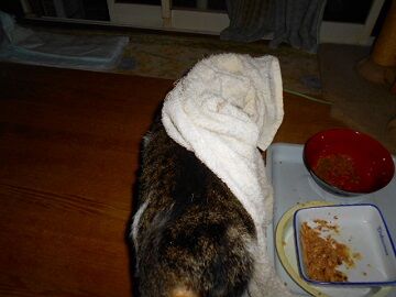 10月21日（23）仮