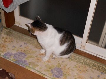 10月4日（22-3）仮