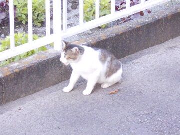 6月25日（22）仮