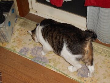 9月23日（3-1）仮