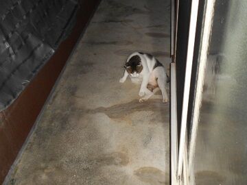 9月21日（20-17）仮