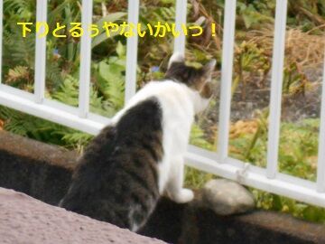 9月20日（7-1）仮