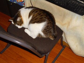 1月15日（24）仮