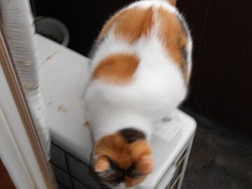 9月15日（14-7）仮