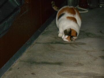 9月30日（20-6）仮