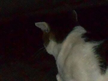 6月22日（13）仮