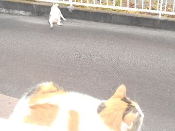 10月2日（39）仮