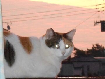 10月3日（19）仮