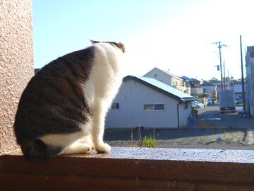 11月30日（23）仮