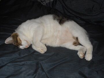 9月21日（8-5）仮