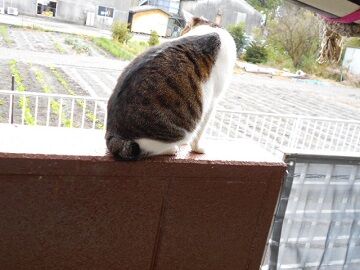 11月13日（17）仮