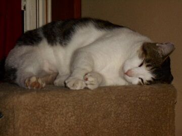 9月25日（19-5）仮