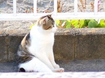 5月12日（16）仮