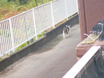 10月28日（5）仮