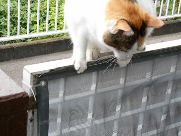 9月15日（14-6）仮