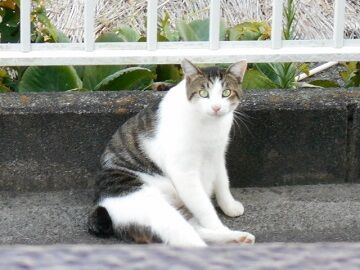 9月27日（15）仮