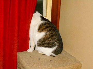 12月13日（48）仮