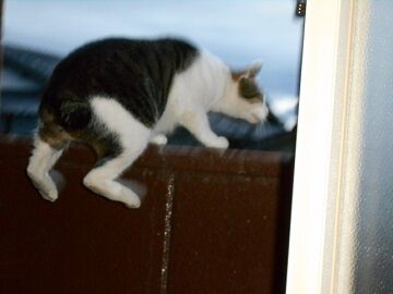 9月12日（5-7）仮