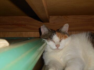 9月14日（21-5）仮