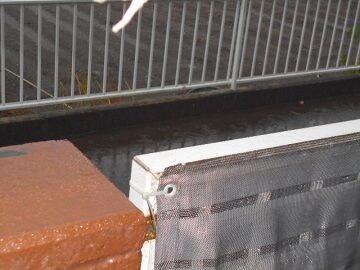 10月25日（9）仮