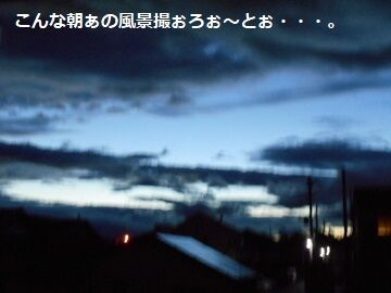 9月24日（5-3）仮