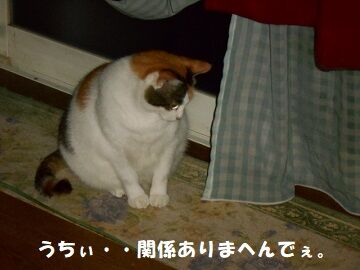 9月24日（23-9）仮