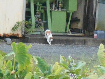 9月14日（6-2）仮