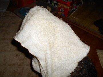 2月16日（40）仮