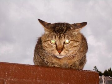 5月28日（51）仮