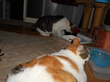 9月20日（19-4）仮