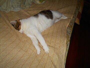 10月25日（19）仮