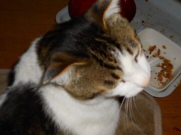 5月25日（16）仮