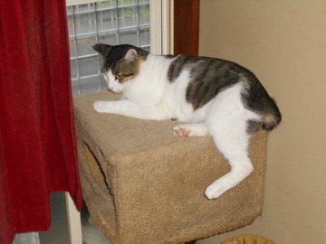 7月14日（48）仮