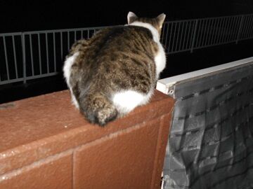 9月13日（18-5）仮