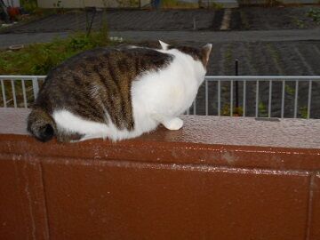 10月18日（21）仮