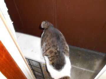 5月31日（13）仮