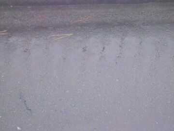 11月22日（1）仮