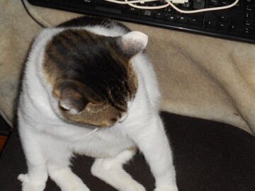 9月26日（6-8）仮