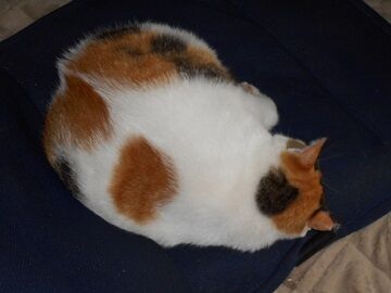 9月21日（9-2）仮