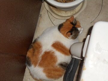 9月7日（20-5）仮