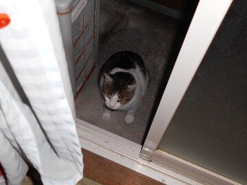 10月7日（23-16）仮