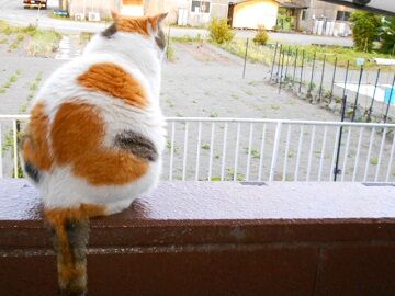 5月24日（28）仮