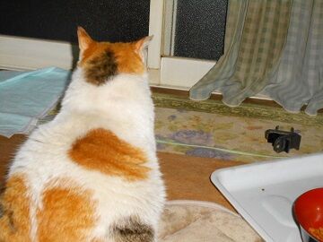 5月28日（56）仮