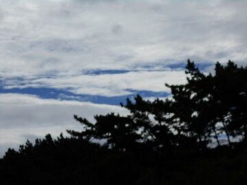 9月25日（9-8）仮